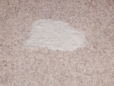 How To Remove A Milk Stain from Carpet