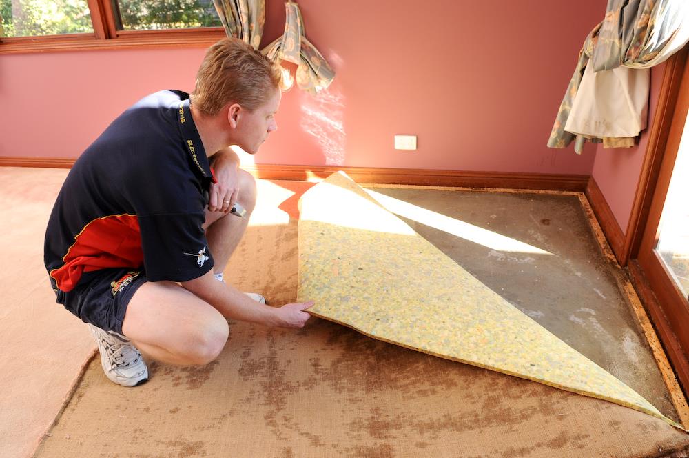 Wet Carpets and Mould
