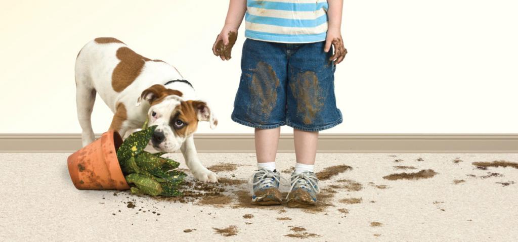 How To Kid - Proof Your Carpet