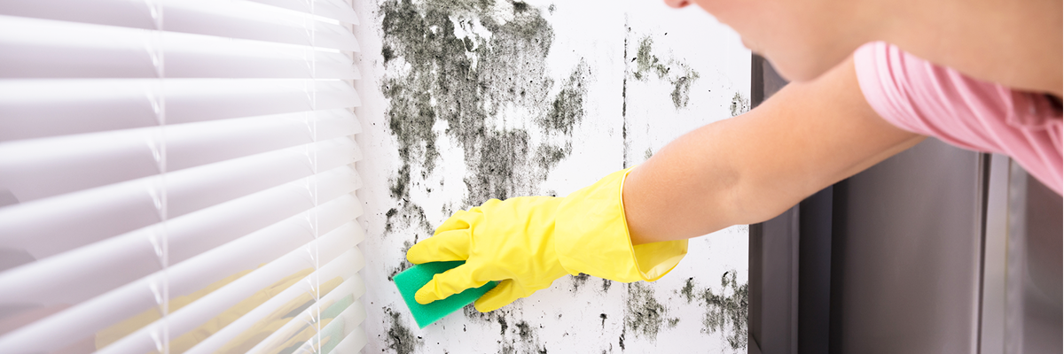 9 Great Tips to Prevent Mould
