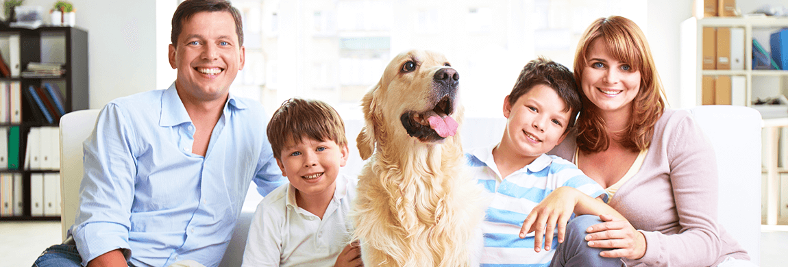 How to Remove a Urine Odour from Carpet?