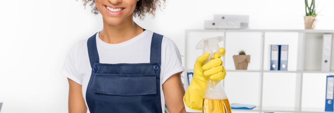 How to Make Your Own Dust Busting Spray