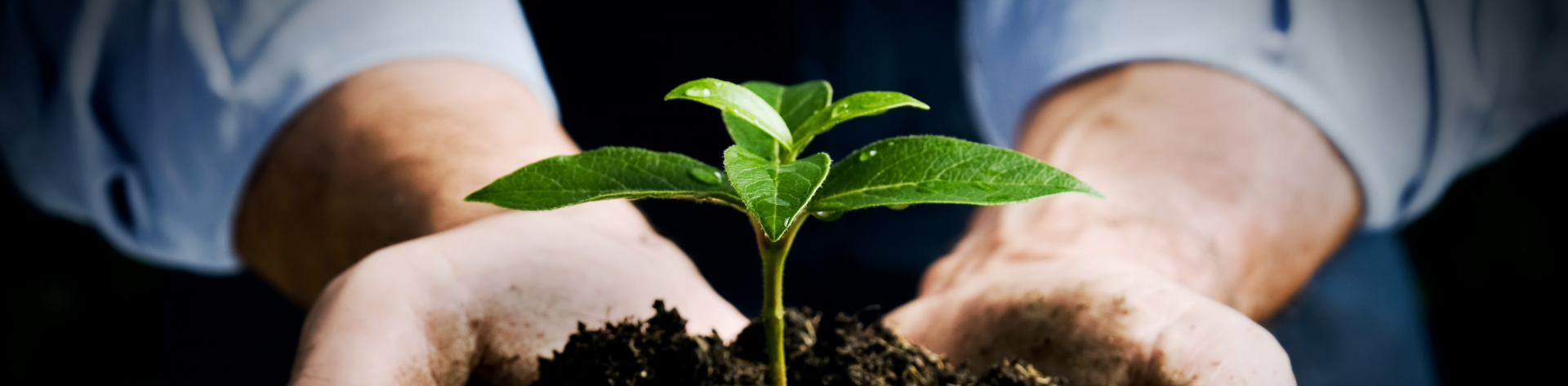 Be a Climate Hero by Swapping These 4 Products