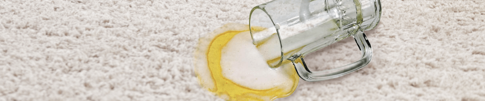 How To Remove Beer From Carpet?