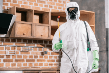 Pest Control Services