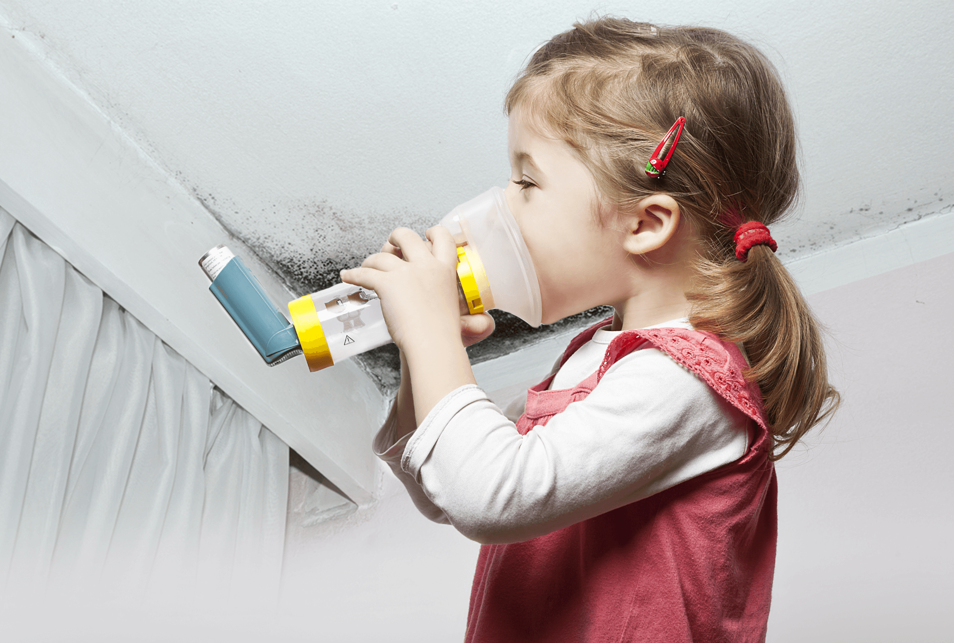 Why Mould Is So Bad For Us