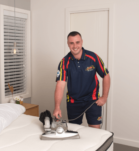 Healthy Mattress Clean